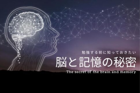 脳と記憶の秘密
